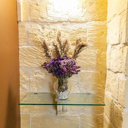 לינה וארוחת בוקר 49 Sunrise